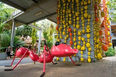 ตึกมด5 ตึกมด5