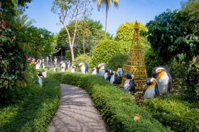 สวนรวมพันธุ์ไม้1 สวนรวมพันธุ์ไม้1