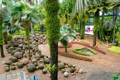 สวนหัวใจ5 สวนหัวใจ5