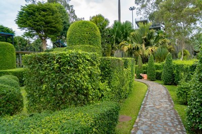 สวนยุโรป1 สวนยุโรป1