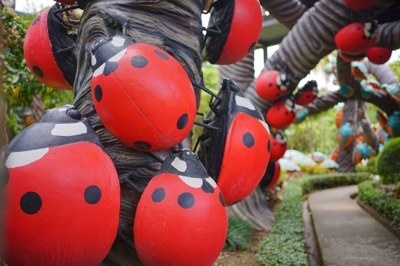 เต่าทอง