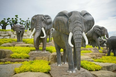 ช้างแอฟริกา