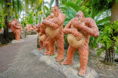 อุรังอุตัง