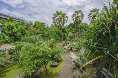 热带植物物种研究所