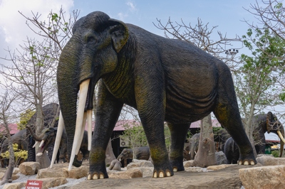 7 สเตอโกเตดตราเบโลดอน STEGOTETRABELODON