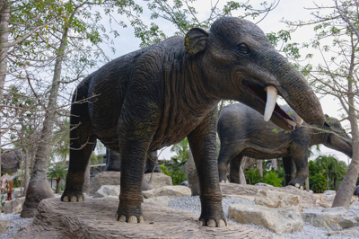 3 พาลีโอแมสโตดอน PALAEOMASTODON