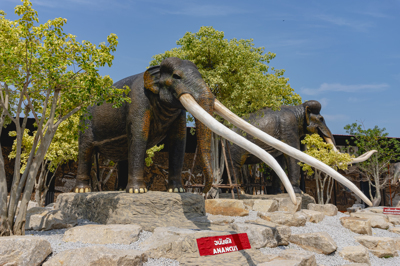 12 อนันคัส ANANCUS