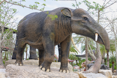 2 ฟีโอเมียร์ PHIOMIA