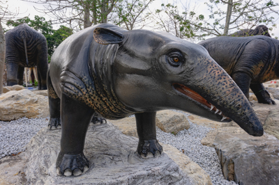 4 โมริเทอเรี่ยม MOERITHERIUM