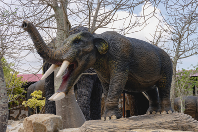 8 แพทีเบโลดอน PLATYBELODON