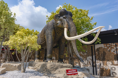 11 แมมมอธ โคลัมเบีย COLUMBIAN MAMMOTH