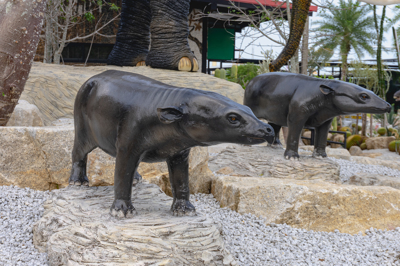 1 โพสฟาเทเรี่ยม PHOSPHATHERIUM 