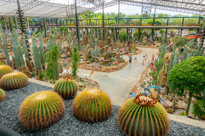 นงนุชแคคตัสการ์เด้น