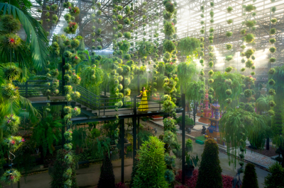 สวนลอยฟ้า