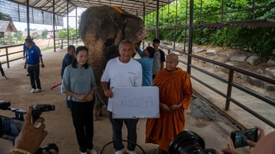 elephant born elephant born