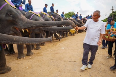 elephant born elephant born
