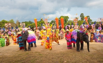 elephant born elephant born