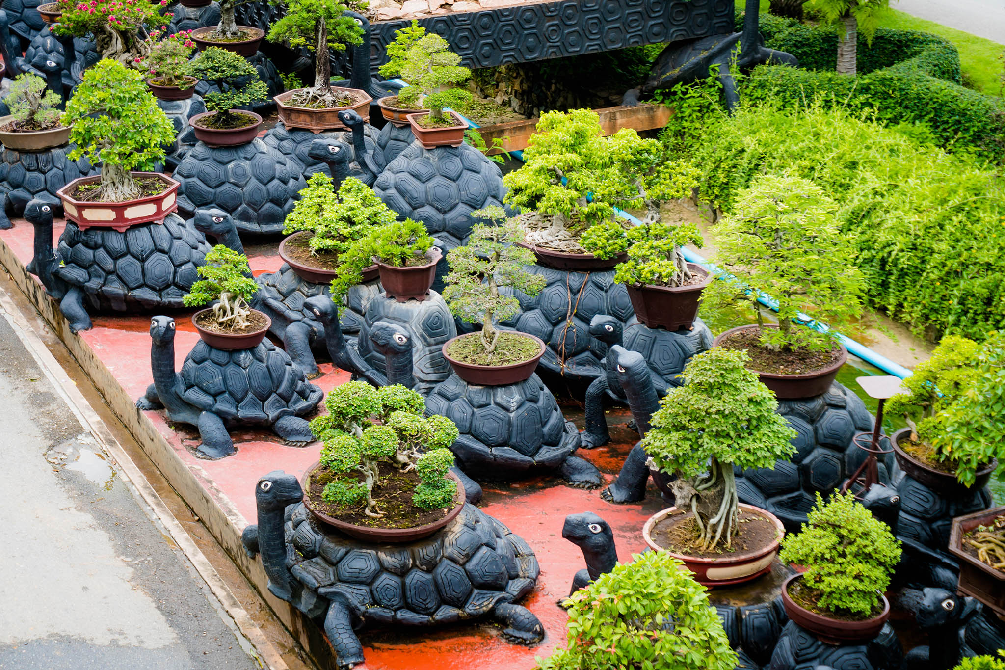Bonsai Garden