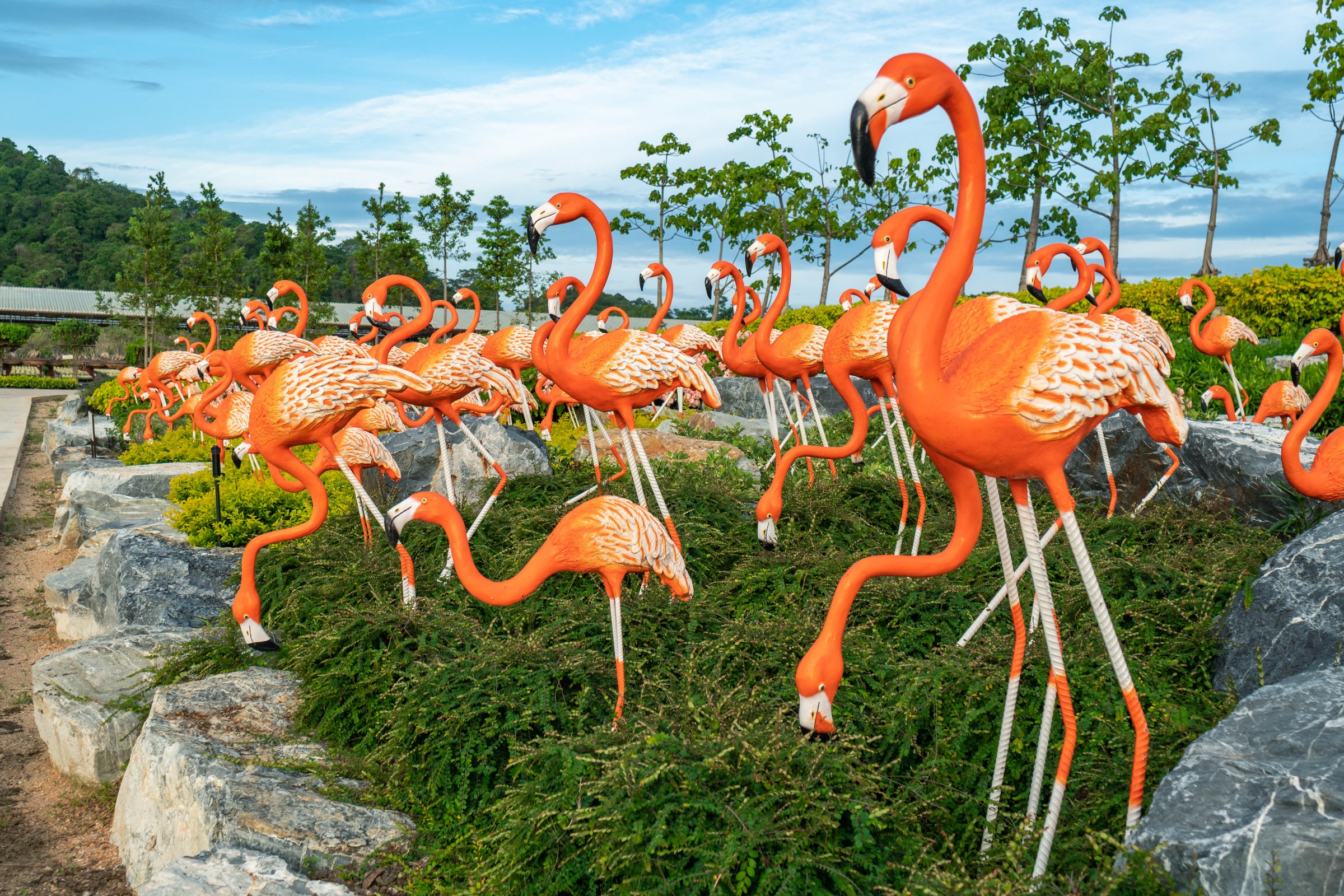 นกฟลามิงโก