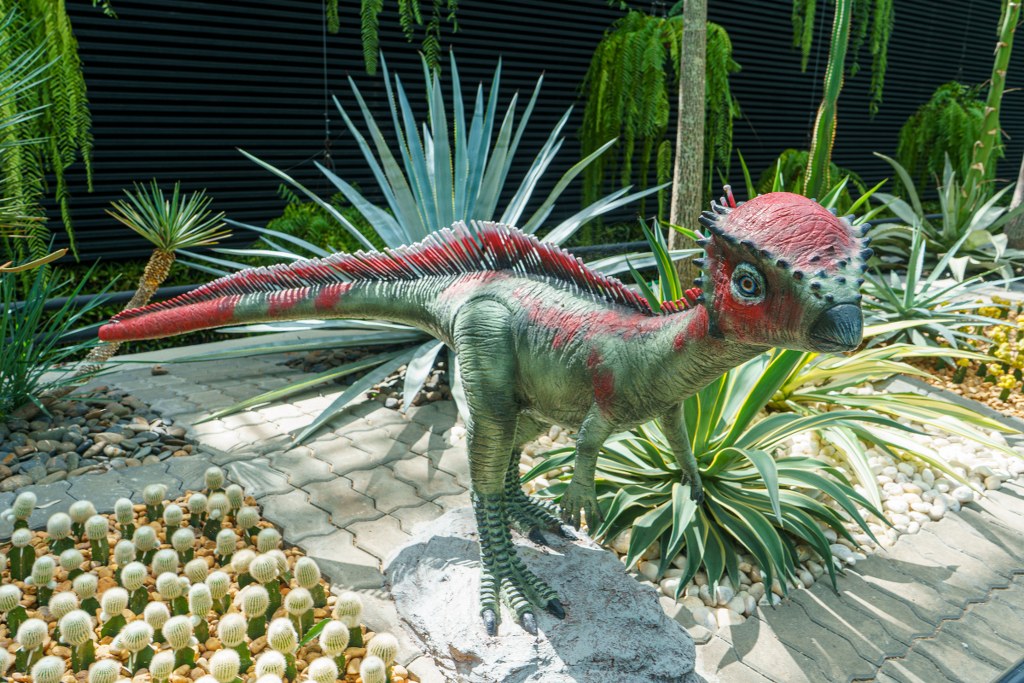 อโครทรัส