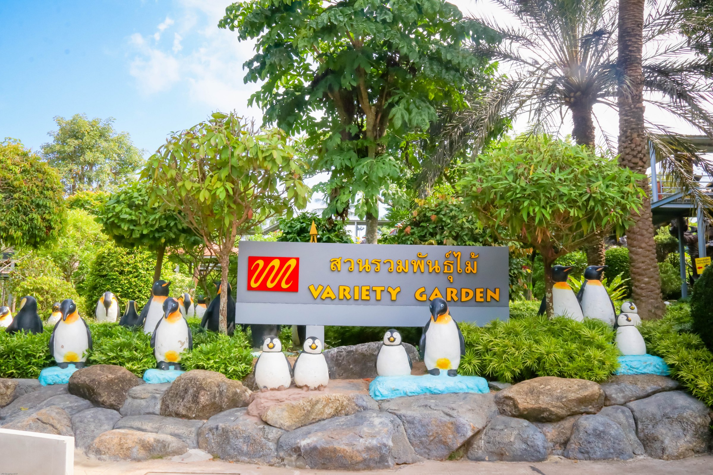 สวนรวมพันธุ์ไม้