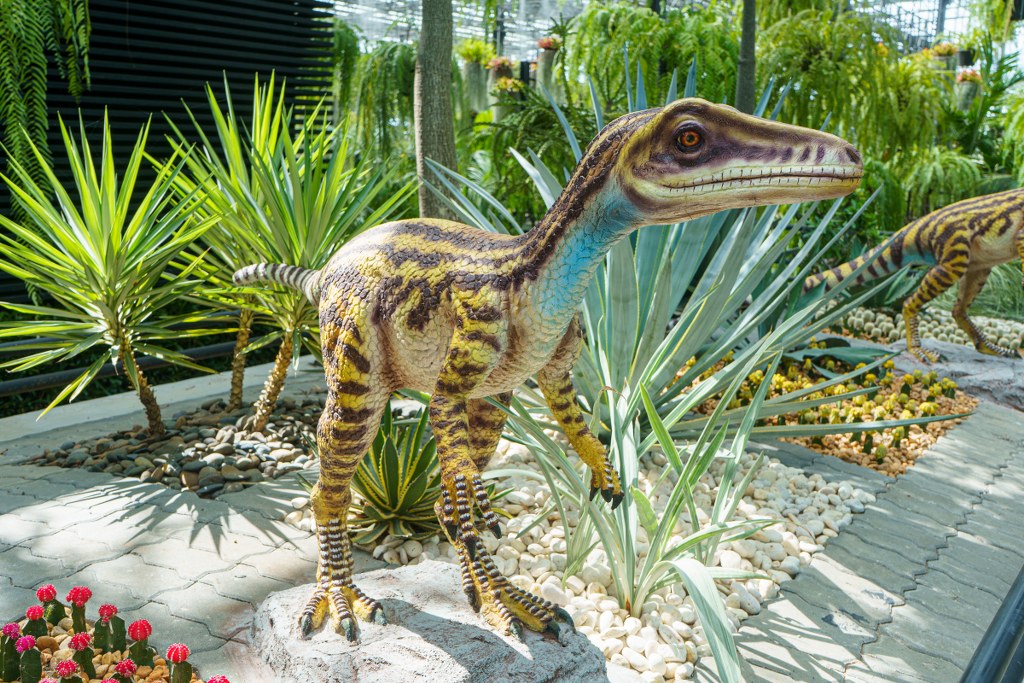 อีโอแรปเตอร์