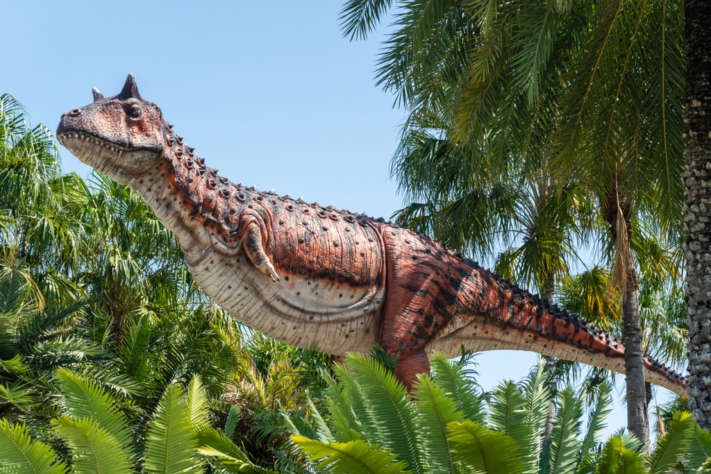 คาร์โนทอรัส