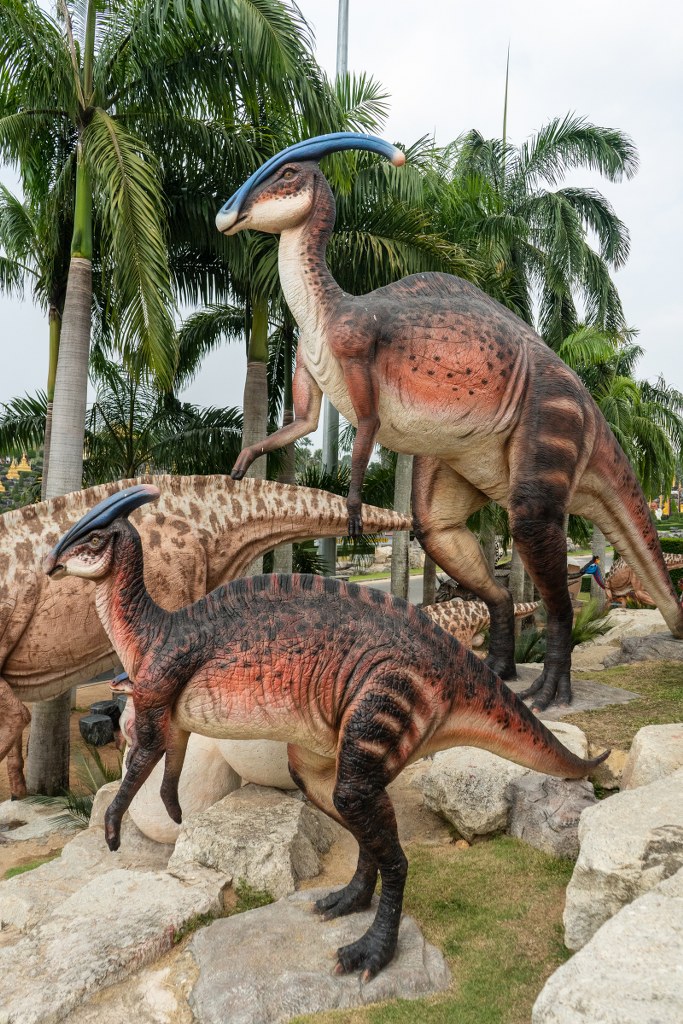 พาราซอโรโลฟัส