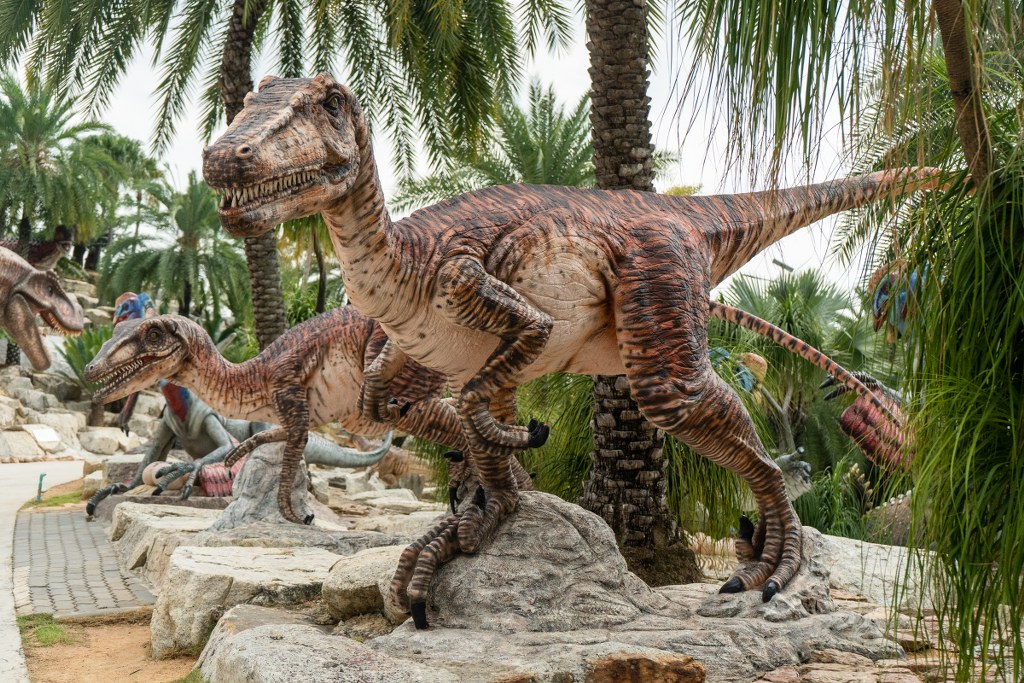 เวโลซีแรปเตอร์ 