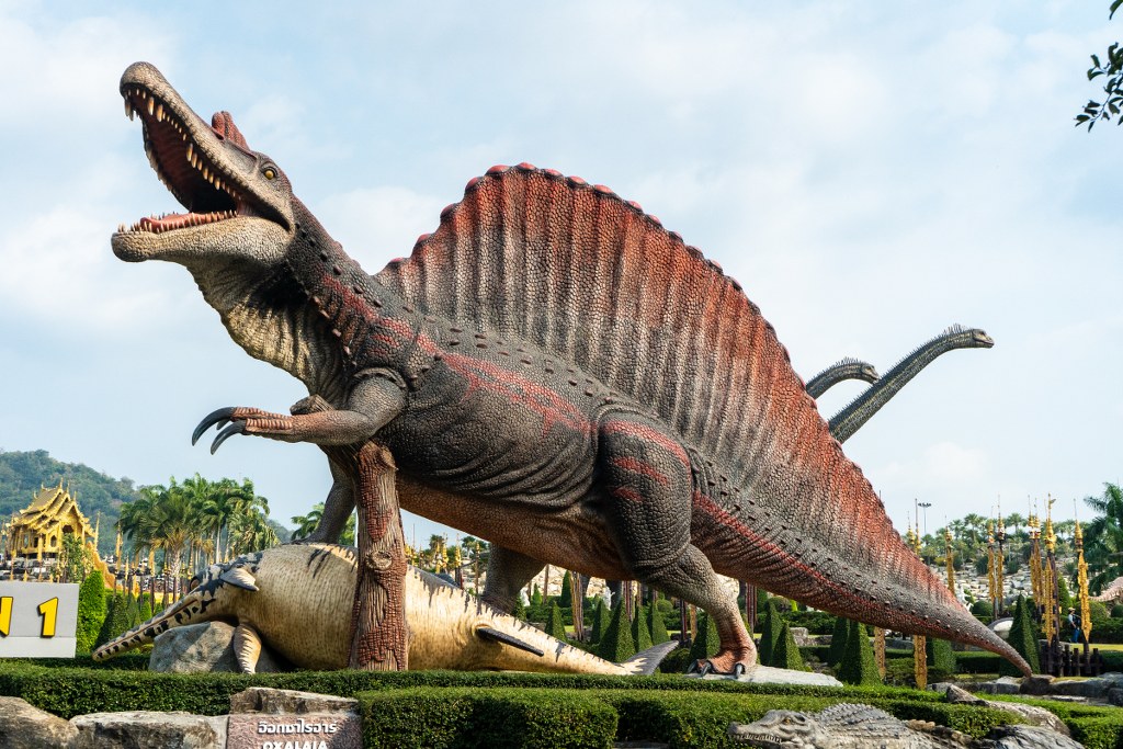 อ๊อกซ์ซัลไลอา