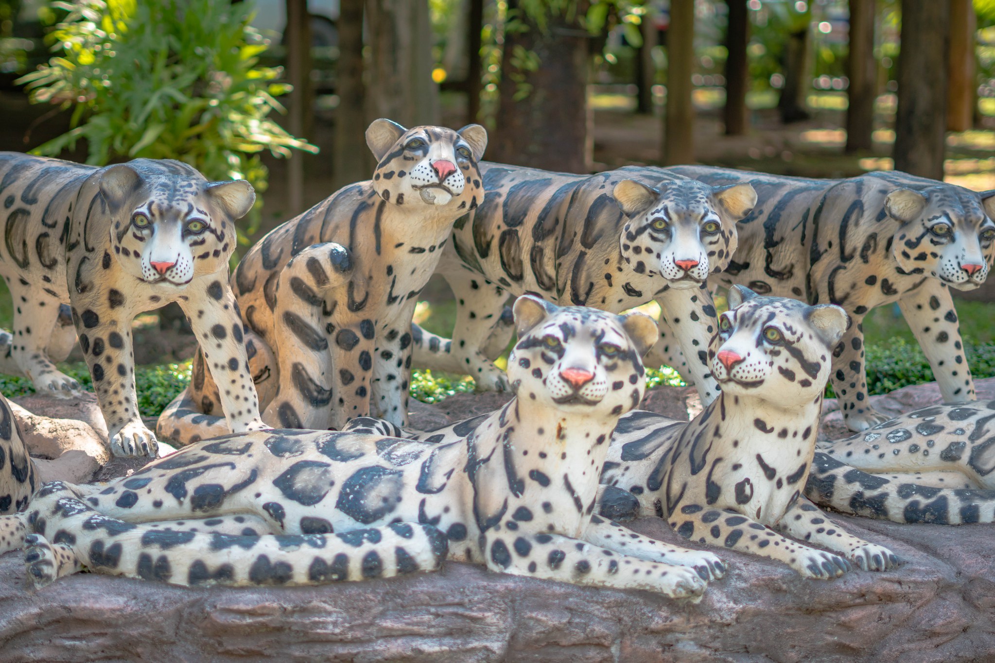 เสือลายเมฆ