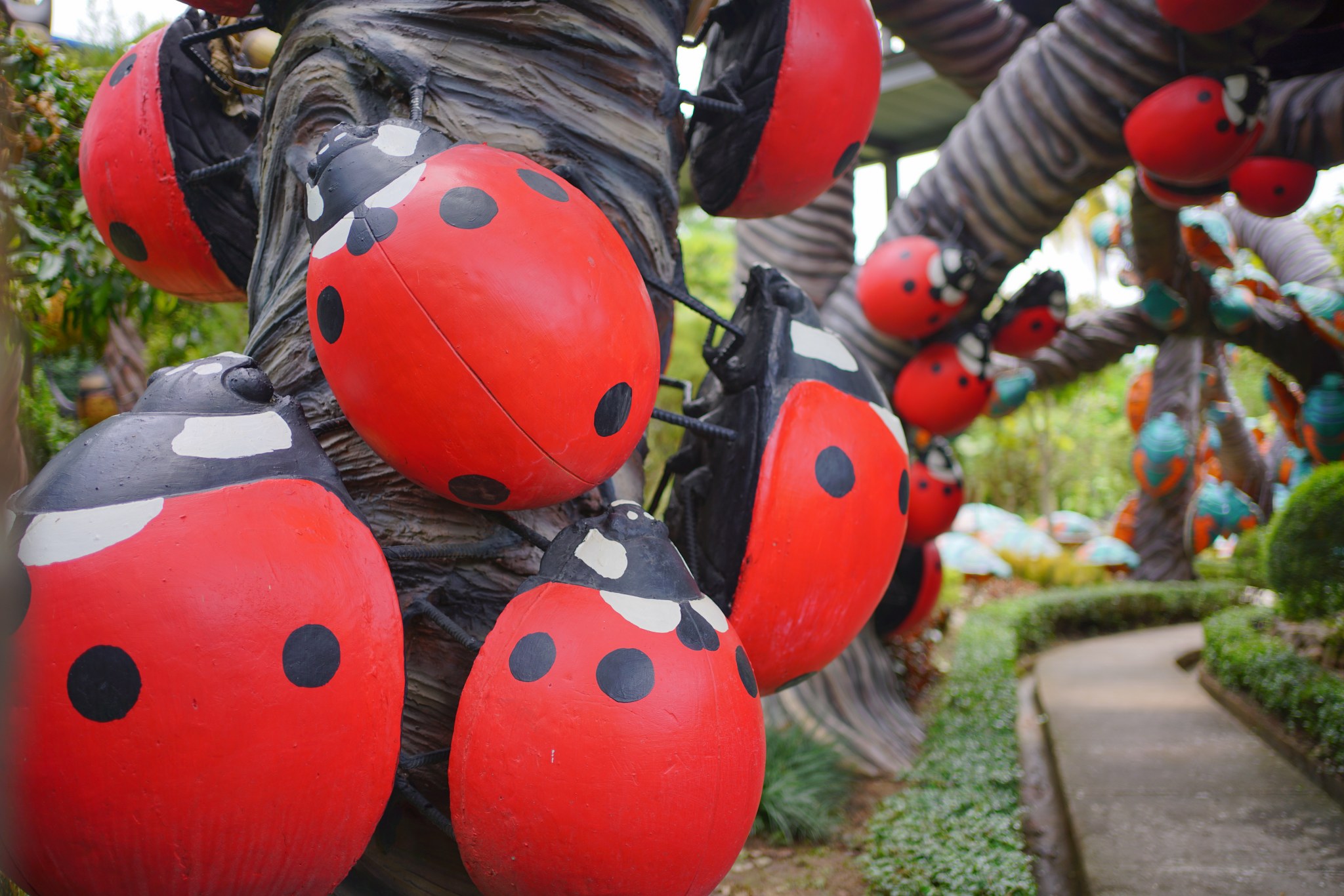 เต่าทอง