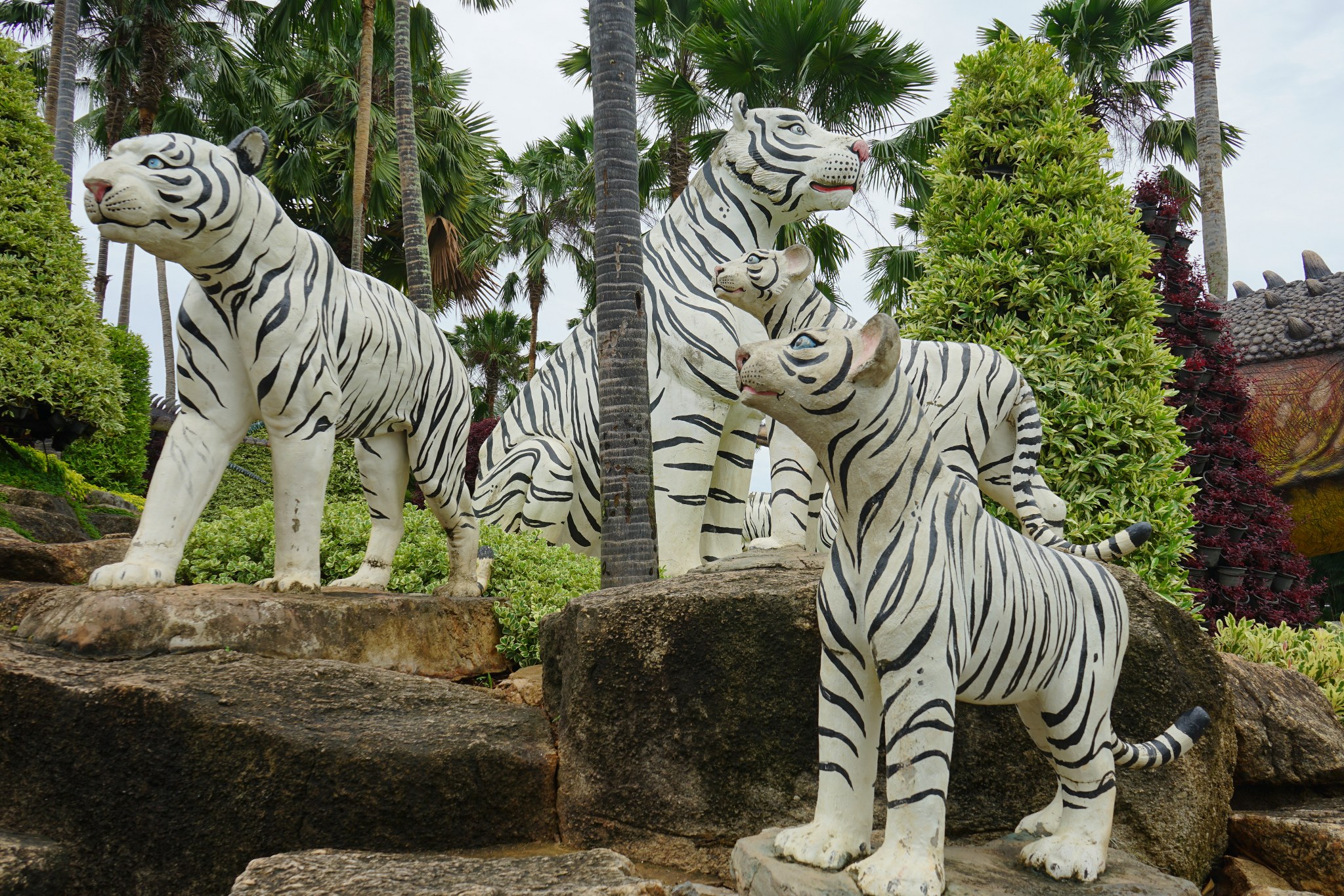 เสือโคร่งขาว