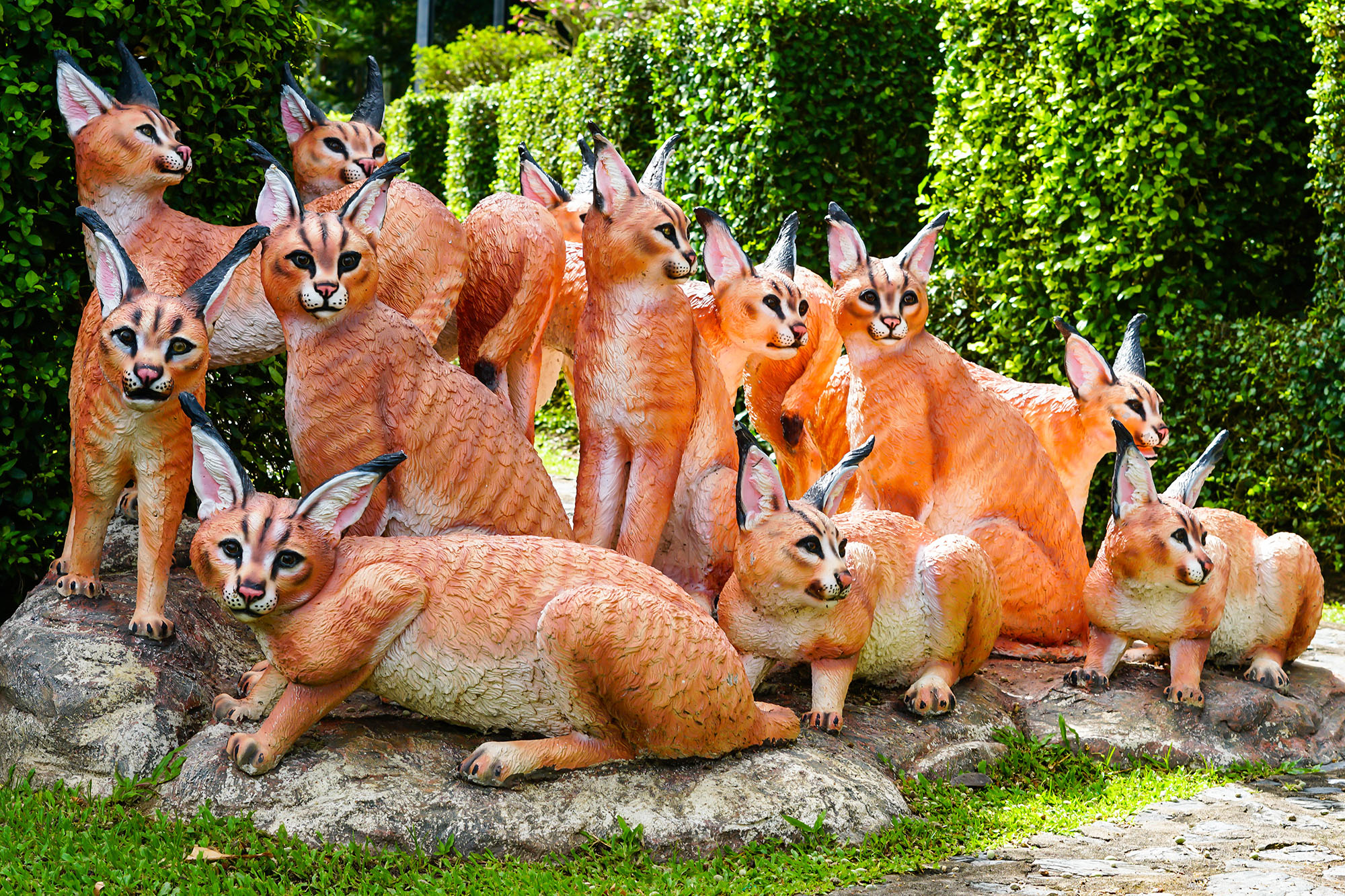 คาราคัล