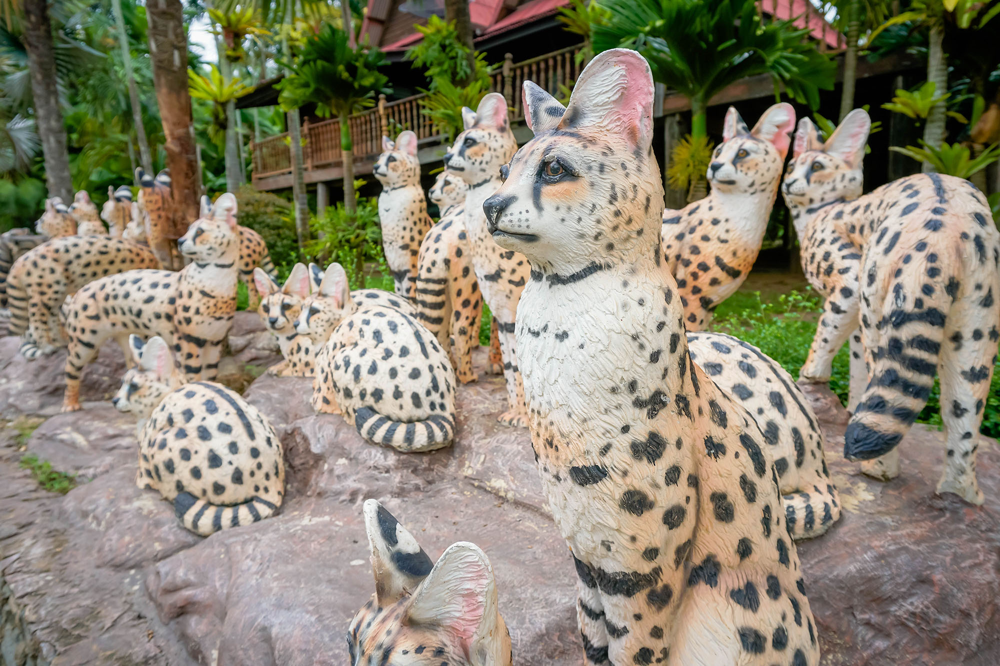 เซอร์วัล