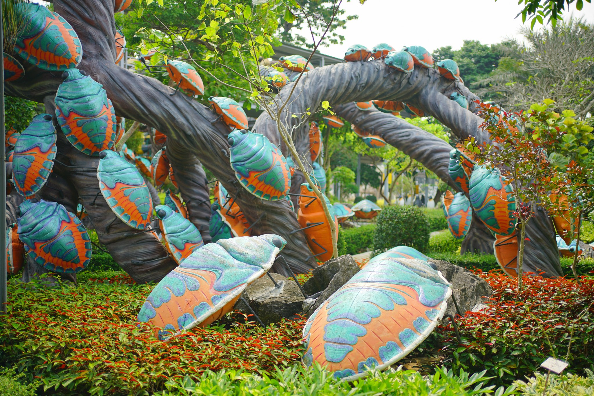Cotton Harlequin Bug