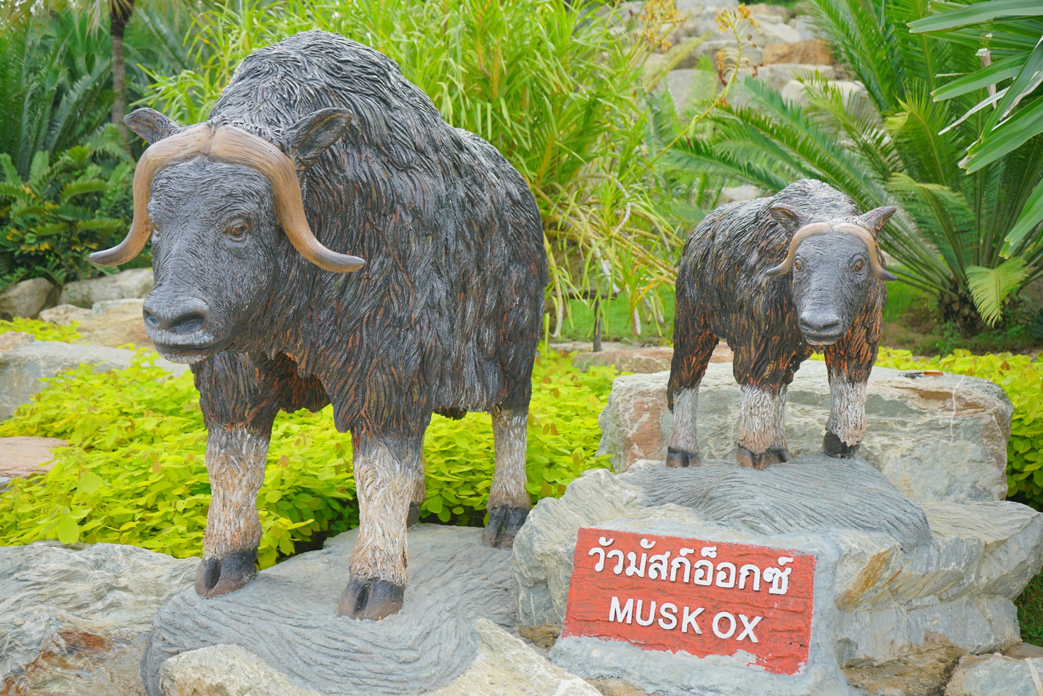 วัวมัสก์อ็อกซ์