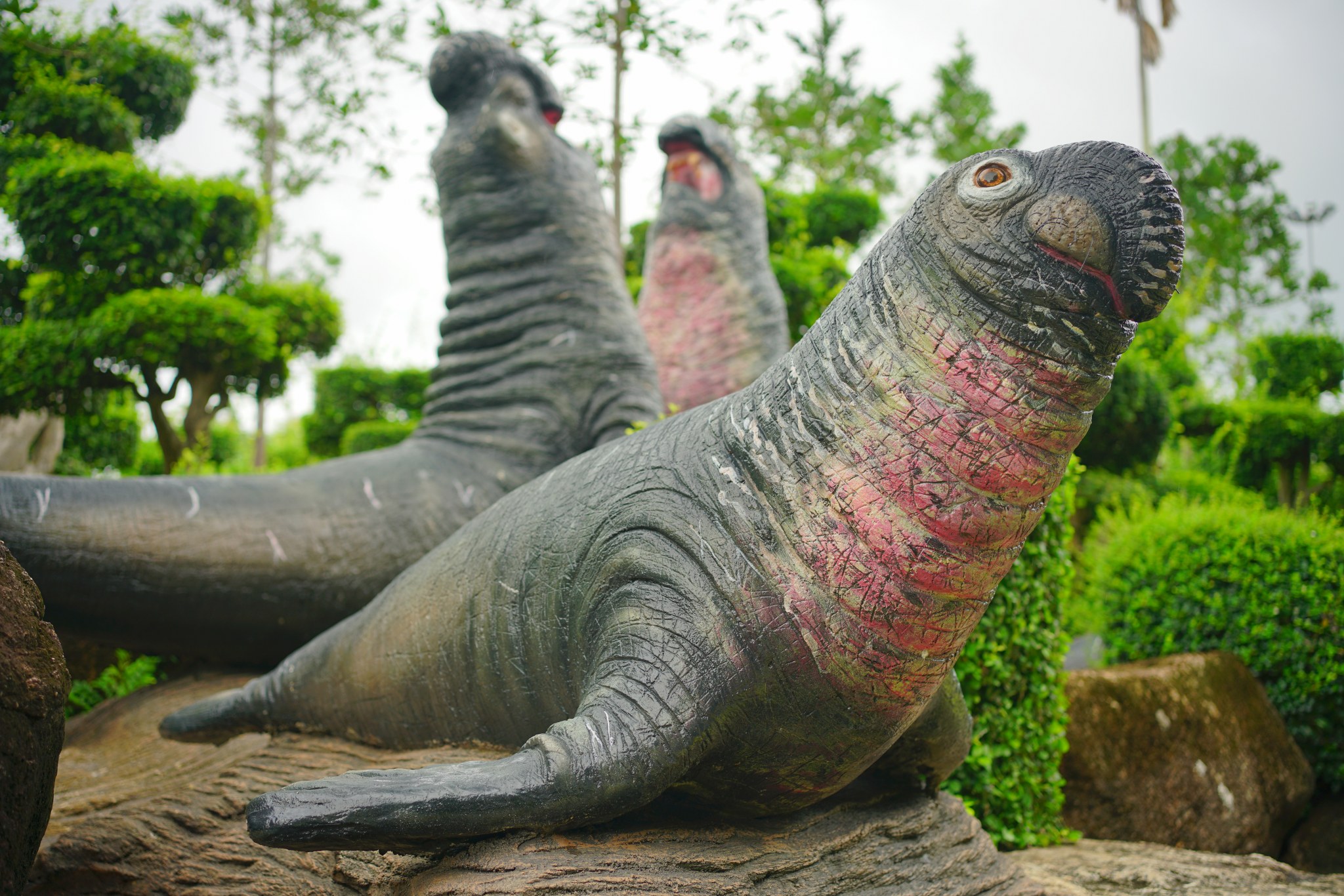 ช้างน้ำ