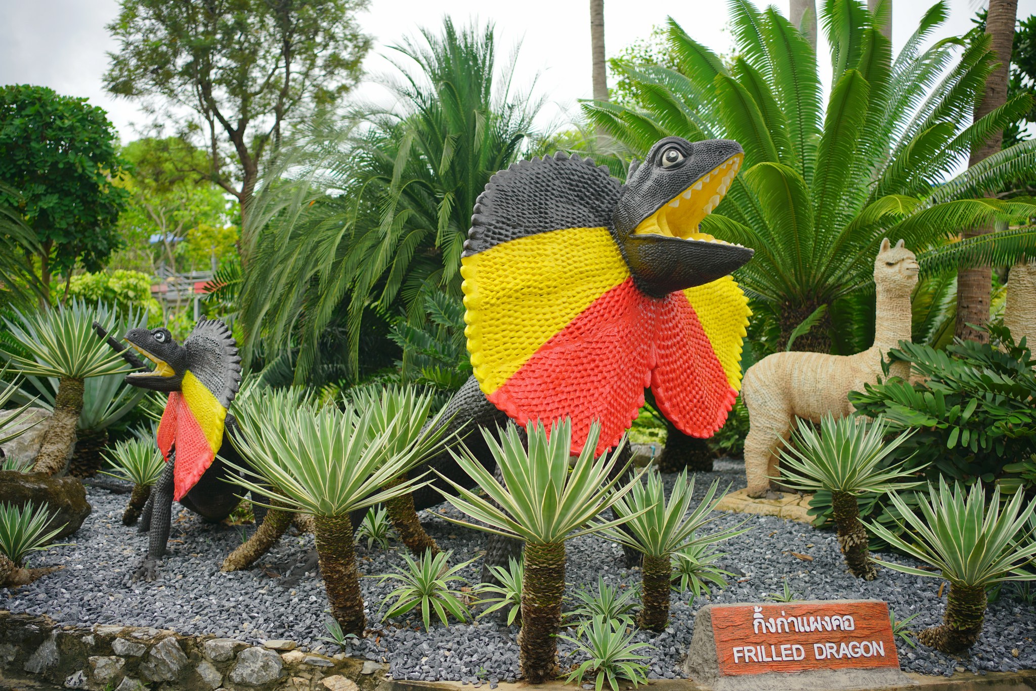 กิ้งก่าแผงคอ