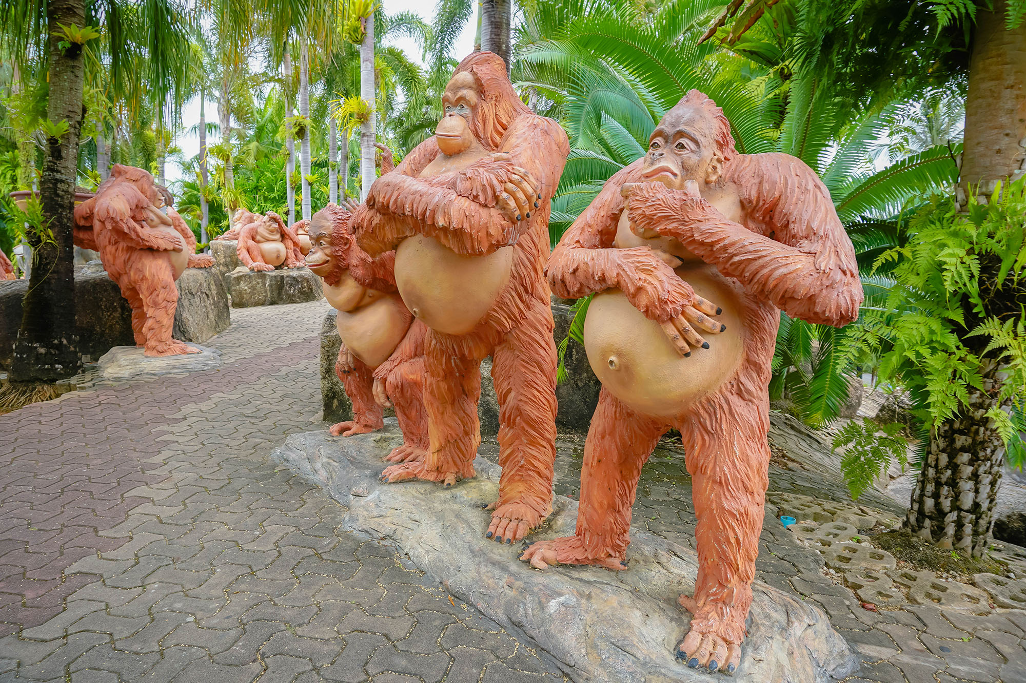 อุรังอุตัง