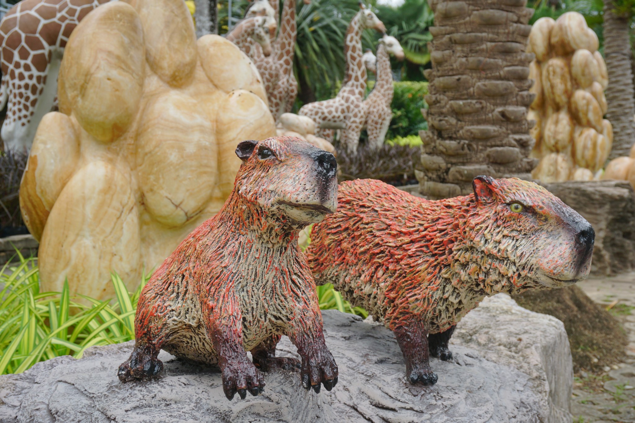 แคพิบารา