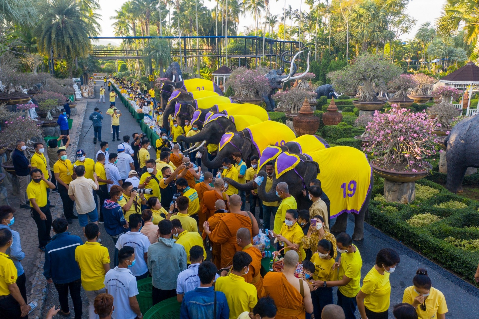 น้อมรำลึกในพระมหากรุณาธิคุณ สวนนงนุชพัทยา นำช้างแสนรู้ร่วมทำบุญตักบาตร
