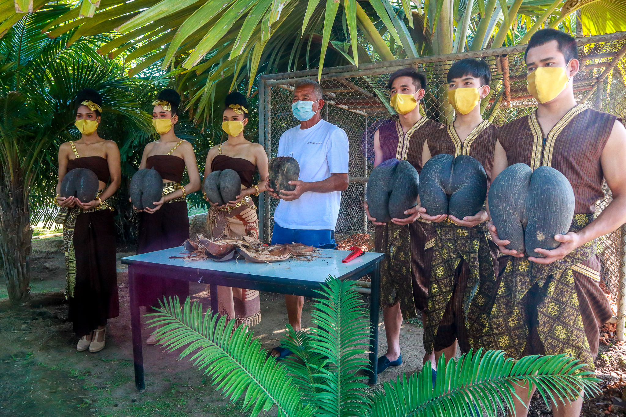 สวนนงนุชพัทยา เฮ!  มะพร้าวก้นสาว สุกเพิ่มถึง 6 ลูก เป็นพันธุ์ไม้ที่แปลกและหายากอีกชนิดหนึ่งของโลก เตรียมนำไปขยายพันธุ์ เพื่อการอนุรักษ์