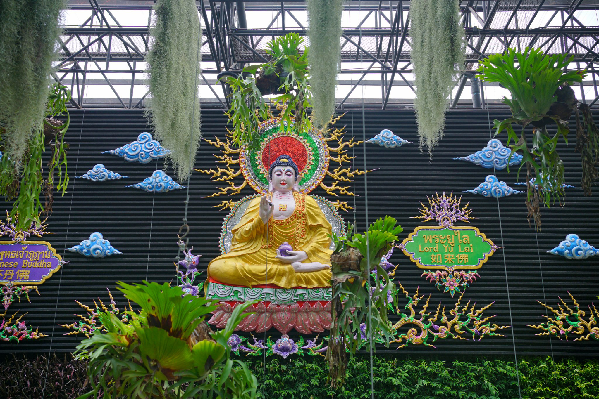 Seven Buddha of Asia