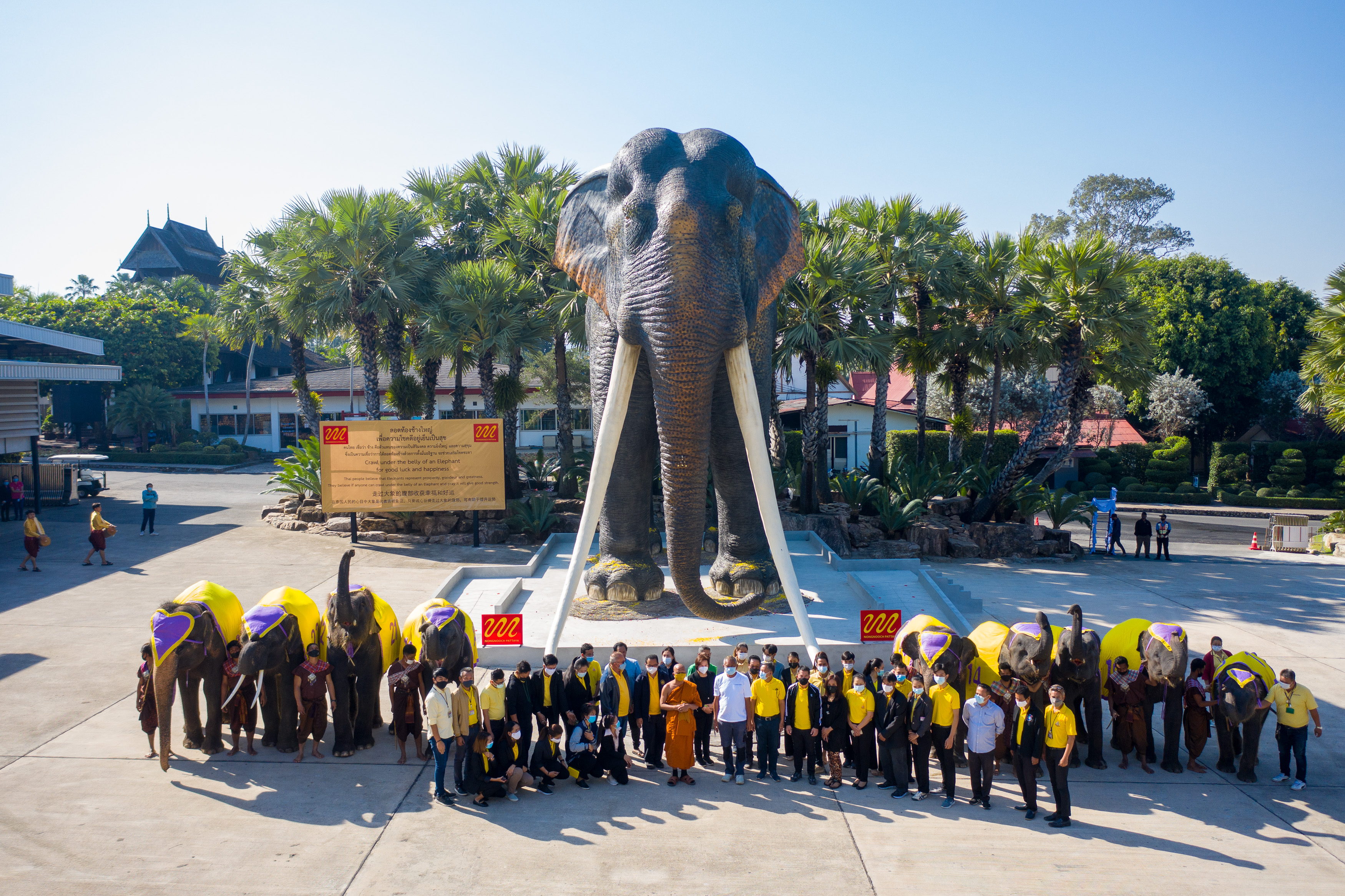 สวนนงนุชพัทยา  นำช้างแสนรู้ 9 เชือก เปิดตัวพญาคชสารหรือช้างยักษ์ ใหญ่ที่สุดในประเทศไทย ให้นักท่องเที่ยวลอดท้องพญาช้าง เสริมความเป็นสิริมงคล