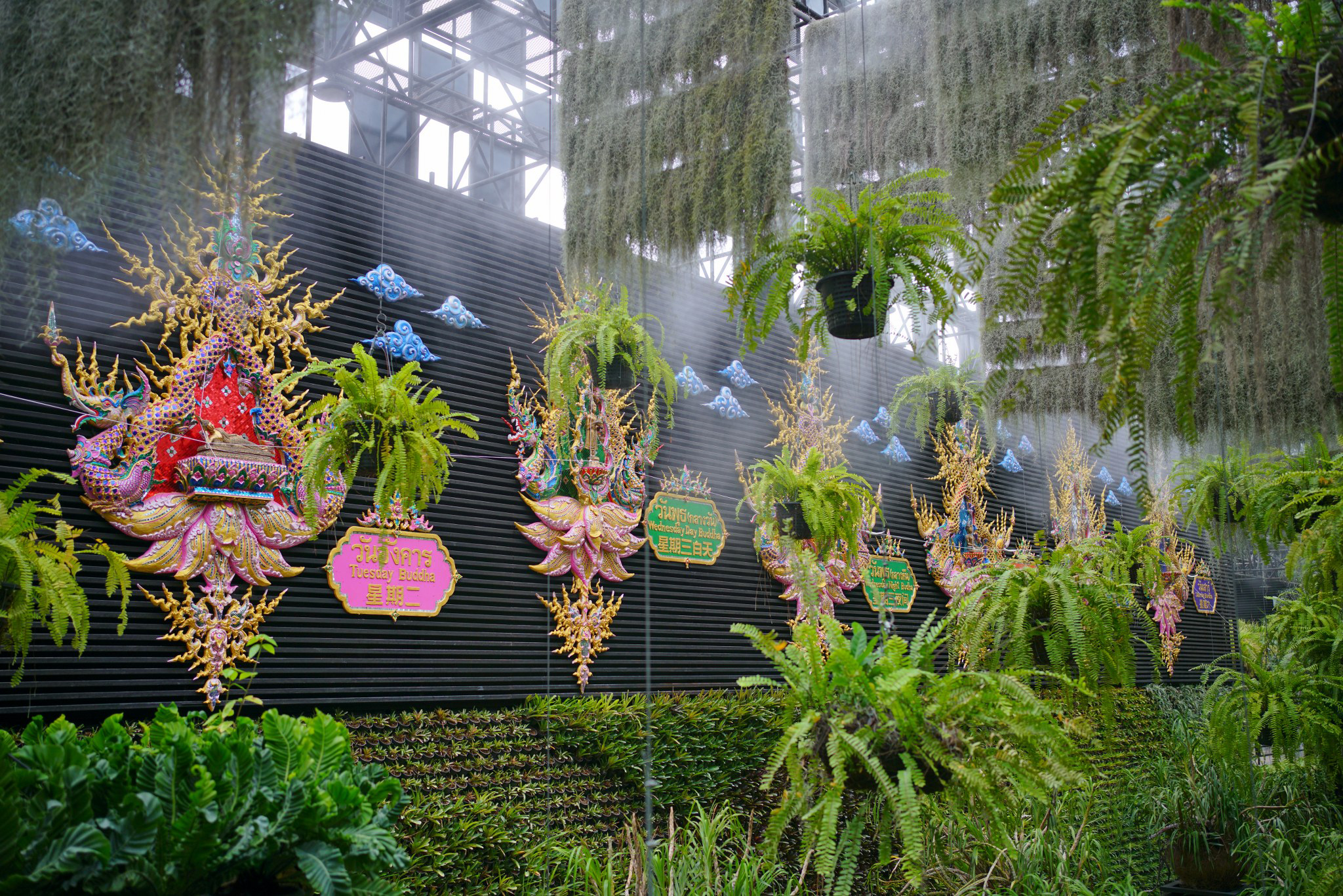 SEVEN DAYS BHUDA IMAGES OF BIRTH