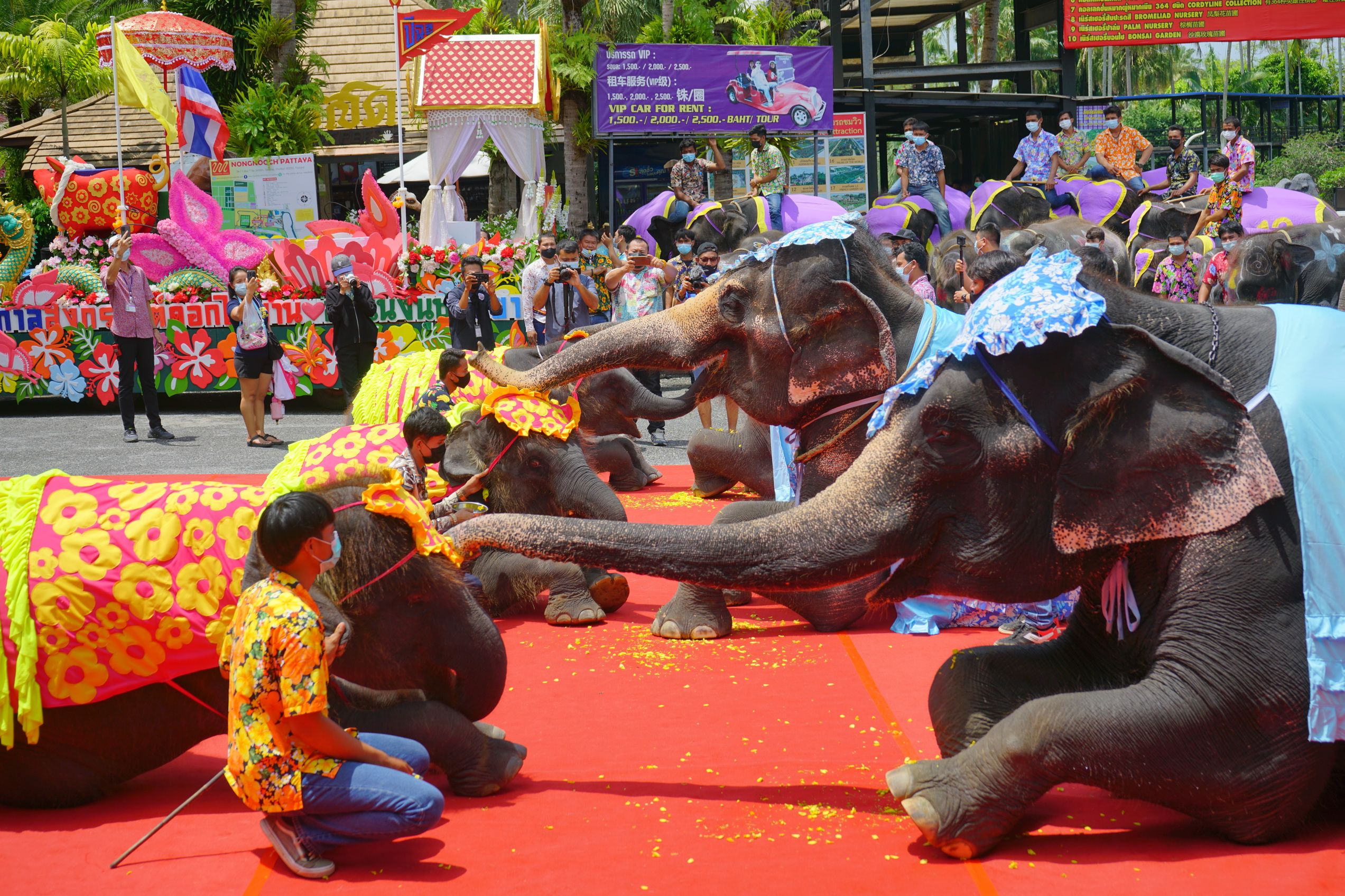 เทศกาลสงกรานต์  