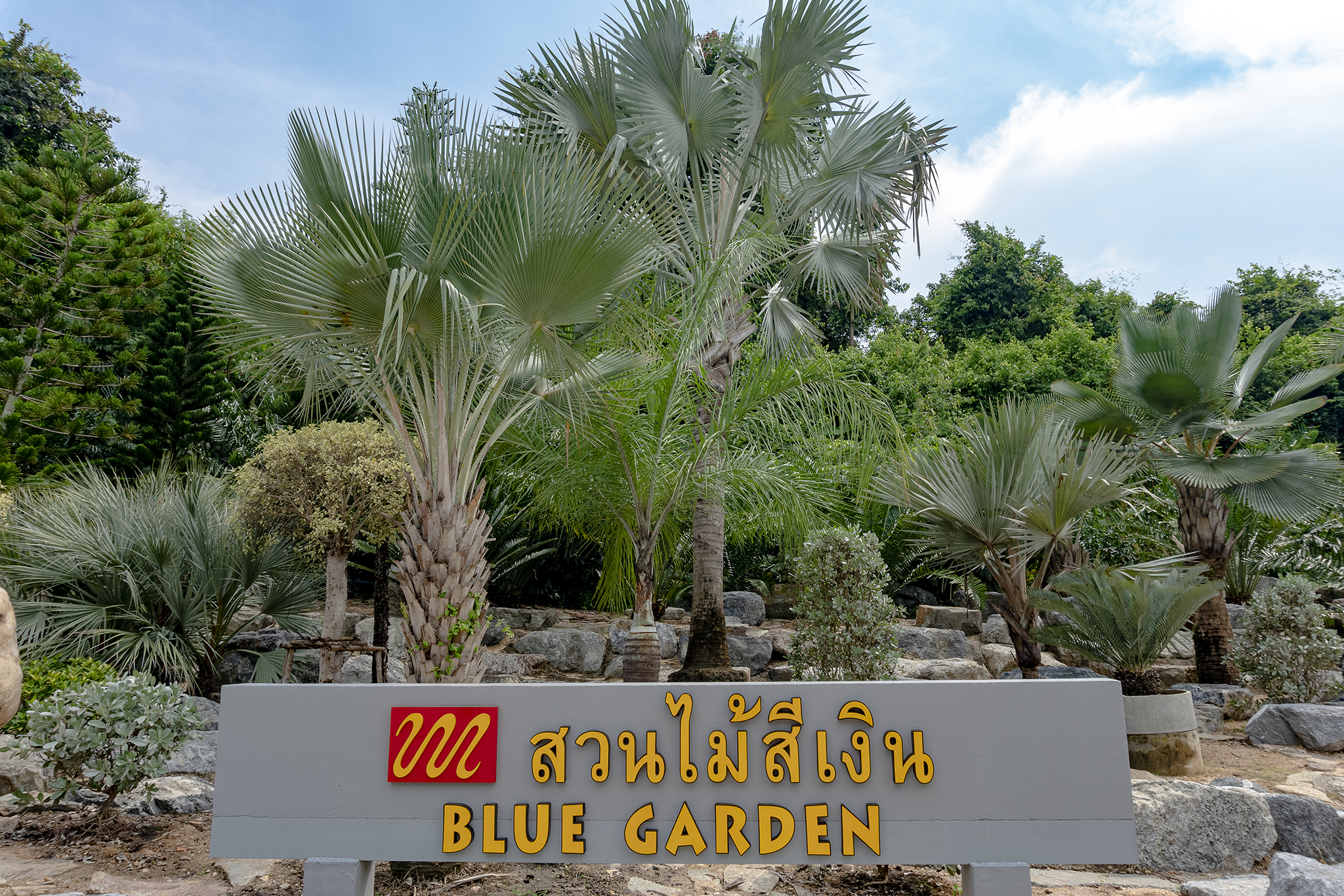 สวนไม้สีเงิน