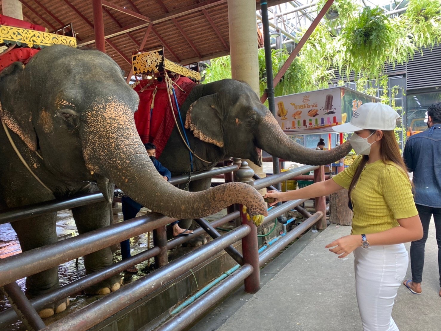 ลูกค้าใจบุญ มาเที่ยวสวน พร้อมร่วมสมทบทุน ซื้อกล้วยให้ช้าง เนื่องในวันคล้ายวันเกิดล่วงหน้า