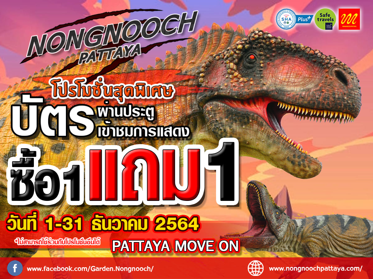 โปรโมชั่นสุดพิเศษ เปิดให้เข้าชมแล้ว 